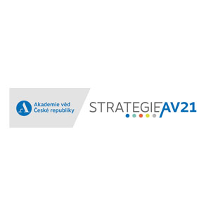 Strategy 21 AV